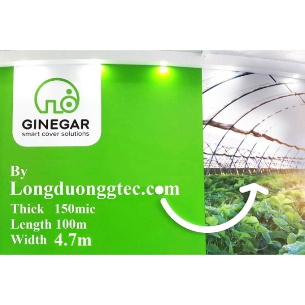 Màng Nhà Kính Ginegar Israel Khổ 4.7m*100m Màng Nhà Kính Ginegar Israel Khổ 4.7m*100m